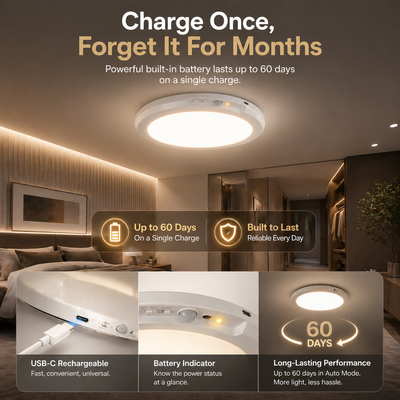 Lumetri Motion Sensor Light