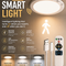 Lumetri Motion Sensor Light