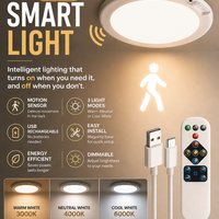 Lumetri Motion Sensor Light